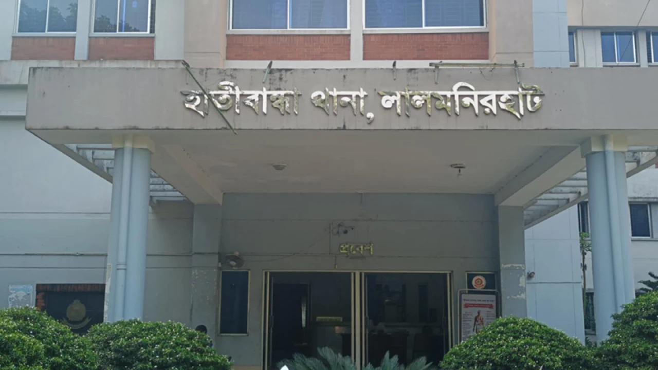 মামার কোদালের আঘাতে প্রাণ গেল ভাগিনার