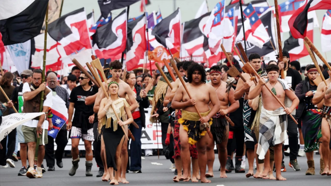 মাওরি বিক্ষোভে উত্তাল নিউজিল্যান্ড