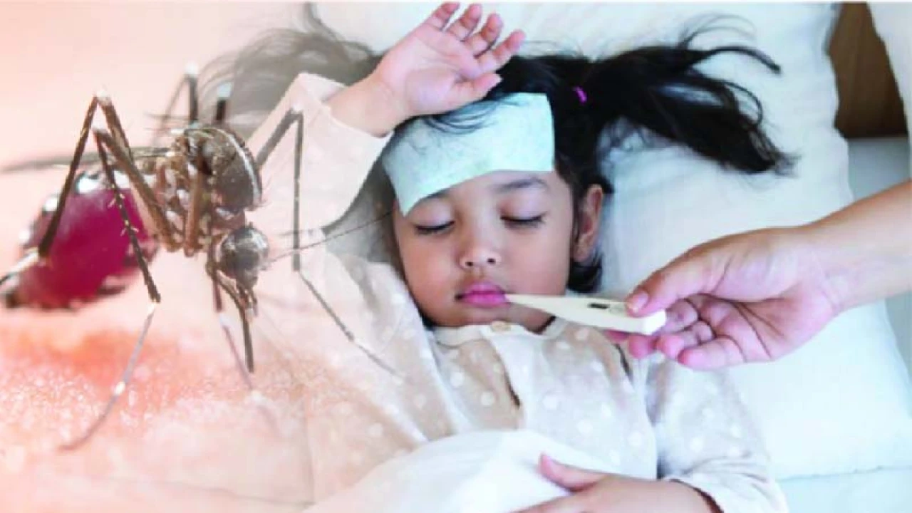 শিশুর ডেঙ্গুজ্বরের লক্ষণ বুঝে চিকিৎসা নিন