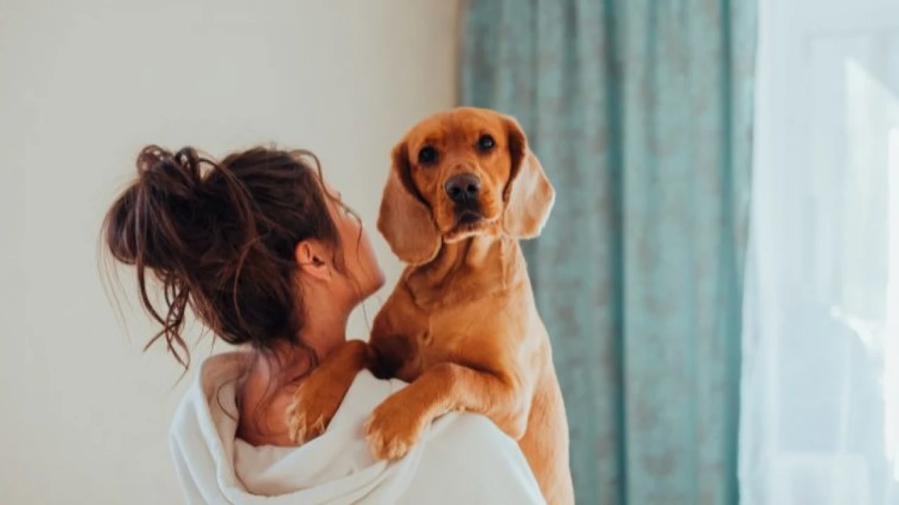 কুকুরের জন্য নিজের বিয়ে ভাঙলেন তরুণী!