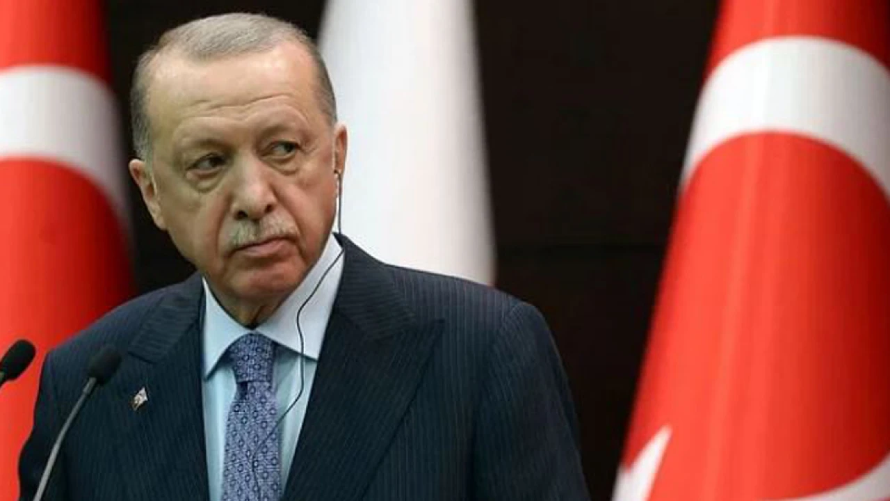 এরদোয়ানের সমালোচনার অপরাধে ৯ জন কারাগারে