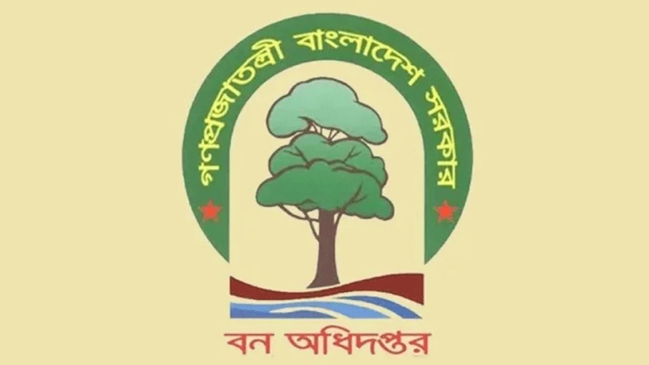 বন অধিদপ্তরের স্থগিত পরীক্ষার নতুন সূচি প্রকাশ