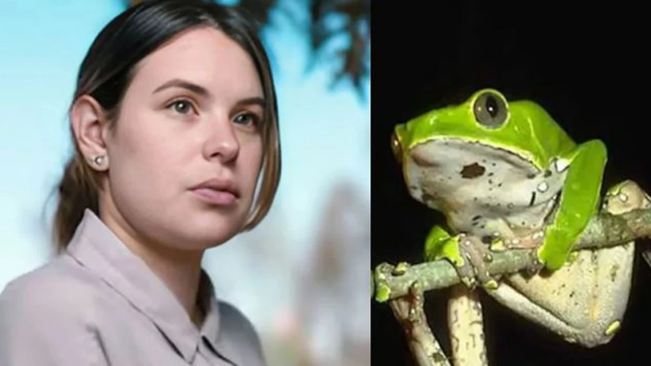 ব্যাঙের বিষে প্রাণ গেল অভিনেত্রীর