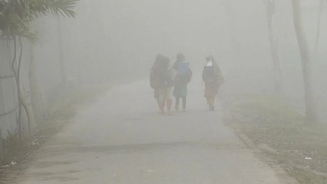 কুয়াশা নিয়ে যে বার্তা দিলো আবহাওয়া অধিদপ্তর