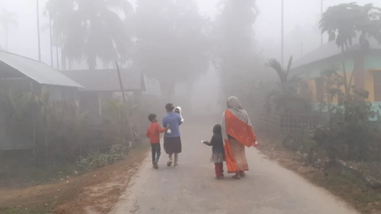 কুয়াশায় ঢাকা তেঁতুলিয়া, তাপমাত্রা ১২ ডিগ্রির ঘরে