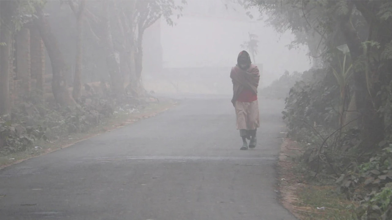 কমেনি শীতের প্রকোপ, ঘন কুয়াশায় আচ্ছন্ন নওগাঁ