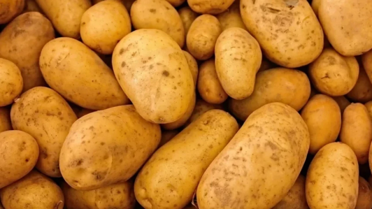 ভারত থেকে ৪৬৮ মেট্রিক টন আলু আমদানি 