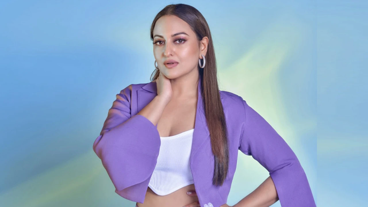 নায়কের মন্তব্যে ক্ষেপলেন সোনাক্ষী