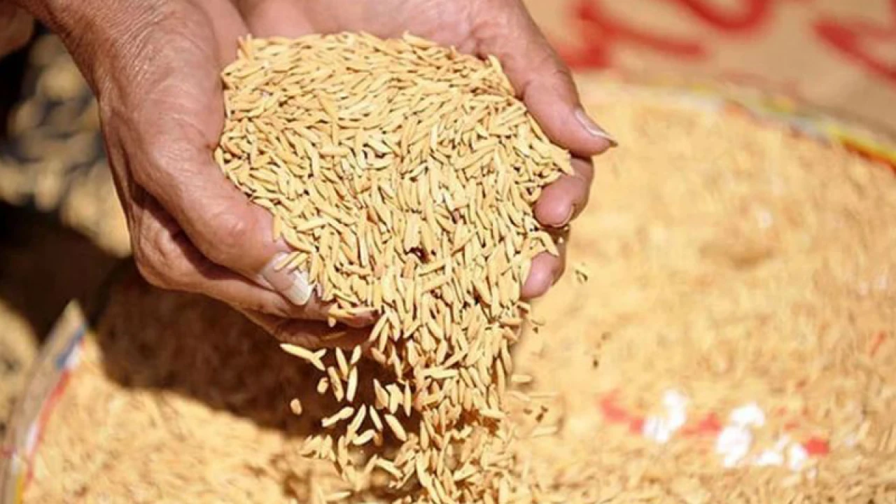 শৈলকুপায় খাদ্য গুদামে ১ কেজি ধানও সংগ্রহ হয়নি