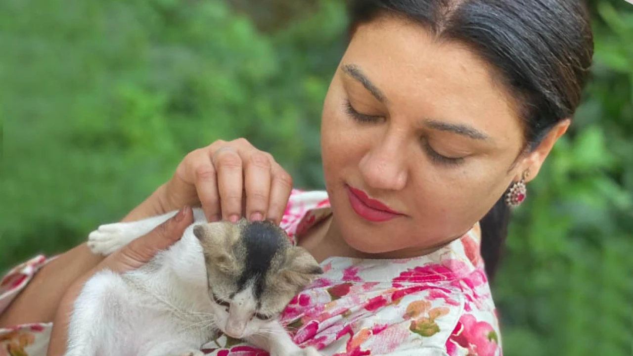 থার্টি ফার্স্ট নাইট নিয়ে জয়ার সতর্কবার্তা