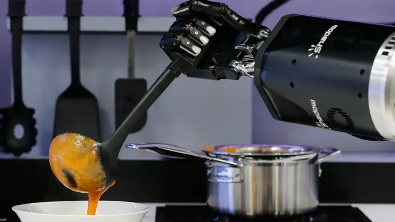 জার্মানিতে রেস্টুরেন্টে রান্না করছে রোবট  