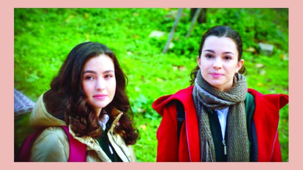 মাছরাঙায় তুর্কি সিরিজ ‘বড় ভাই’