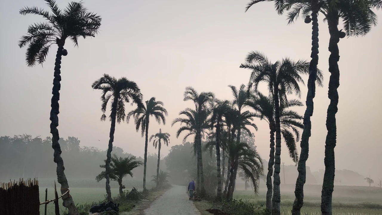 শীতের অনুভূতি কম, বৃষ্টির পূর্বাভাস