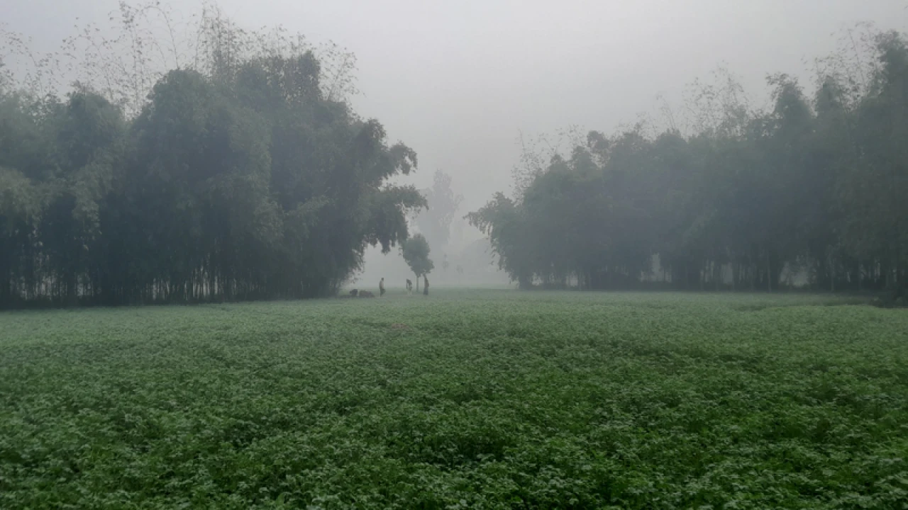 পঞ্চগড়ে তাপমাত্রা বেড়ে  ১২ ডিগ্রিতে, শীতের তীব্রতা কমেনি 