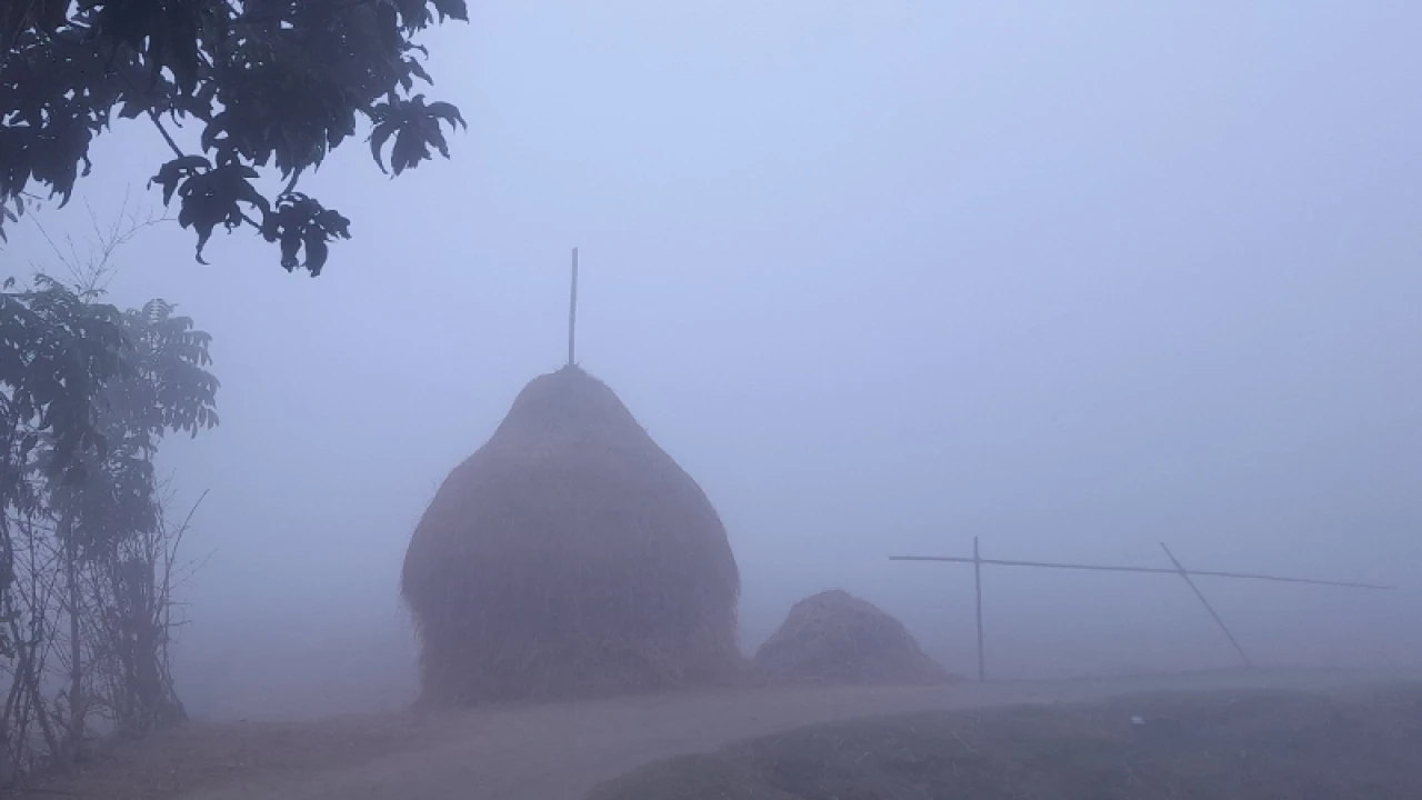 কুয়াশাচ্ছন্ন পঞ্চগড়ে তাপমাত্রা ১১ দশমিক ৮ ডিগ্রি 