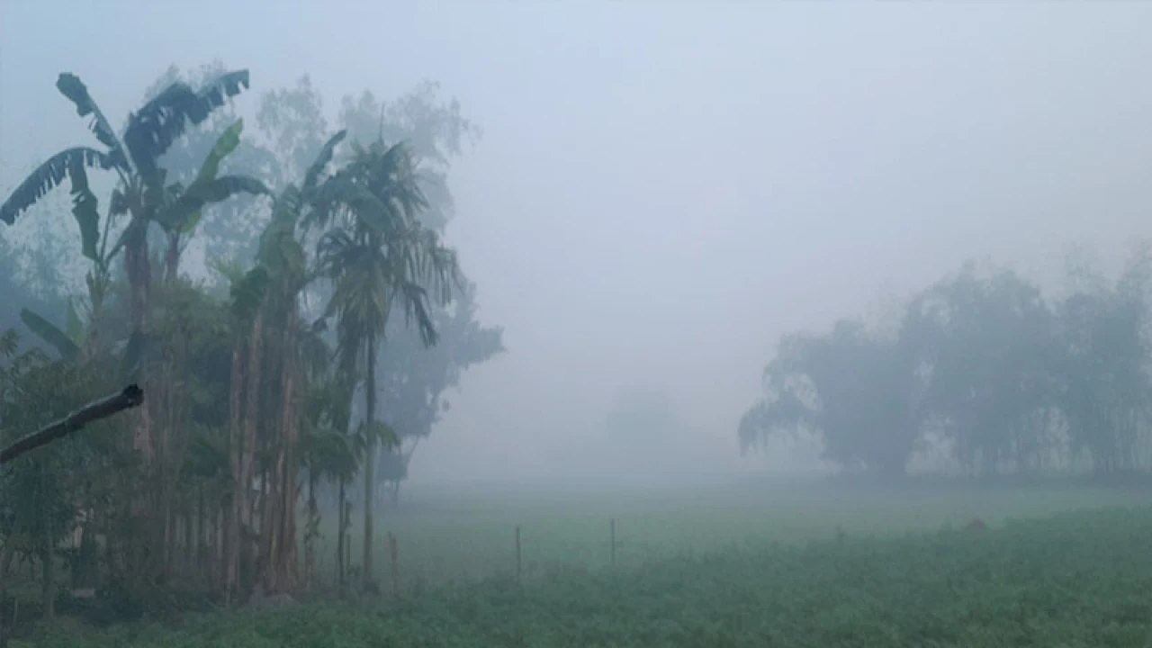 পঞ্চগড়ে আবারও তাপমাত্রা ১০ ডিগ্রির ঘরে