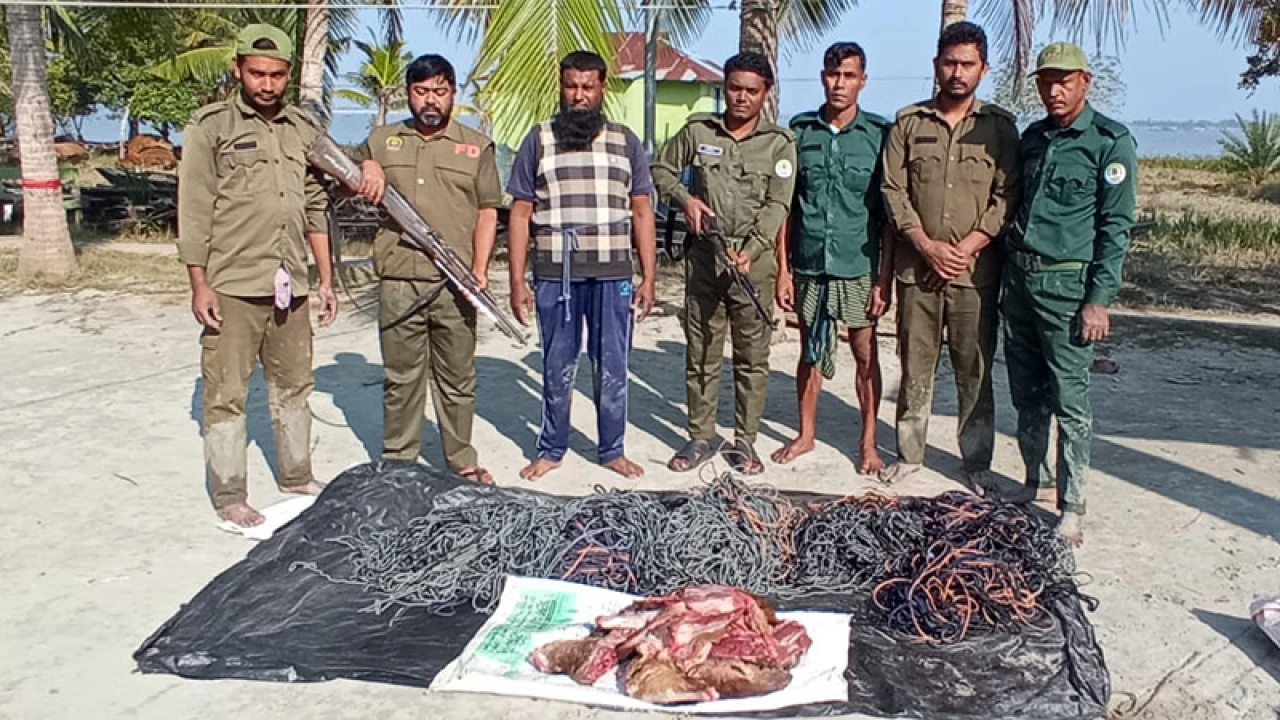সুন্দরবন থেকে হরিণের মাংস জব্দ