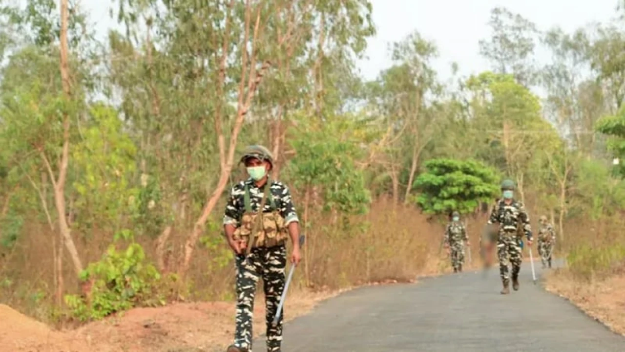ভারতে নিরাপত্তা বাহিনীর গুলিতে ১৪ মাওবাদী নিহত