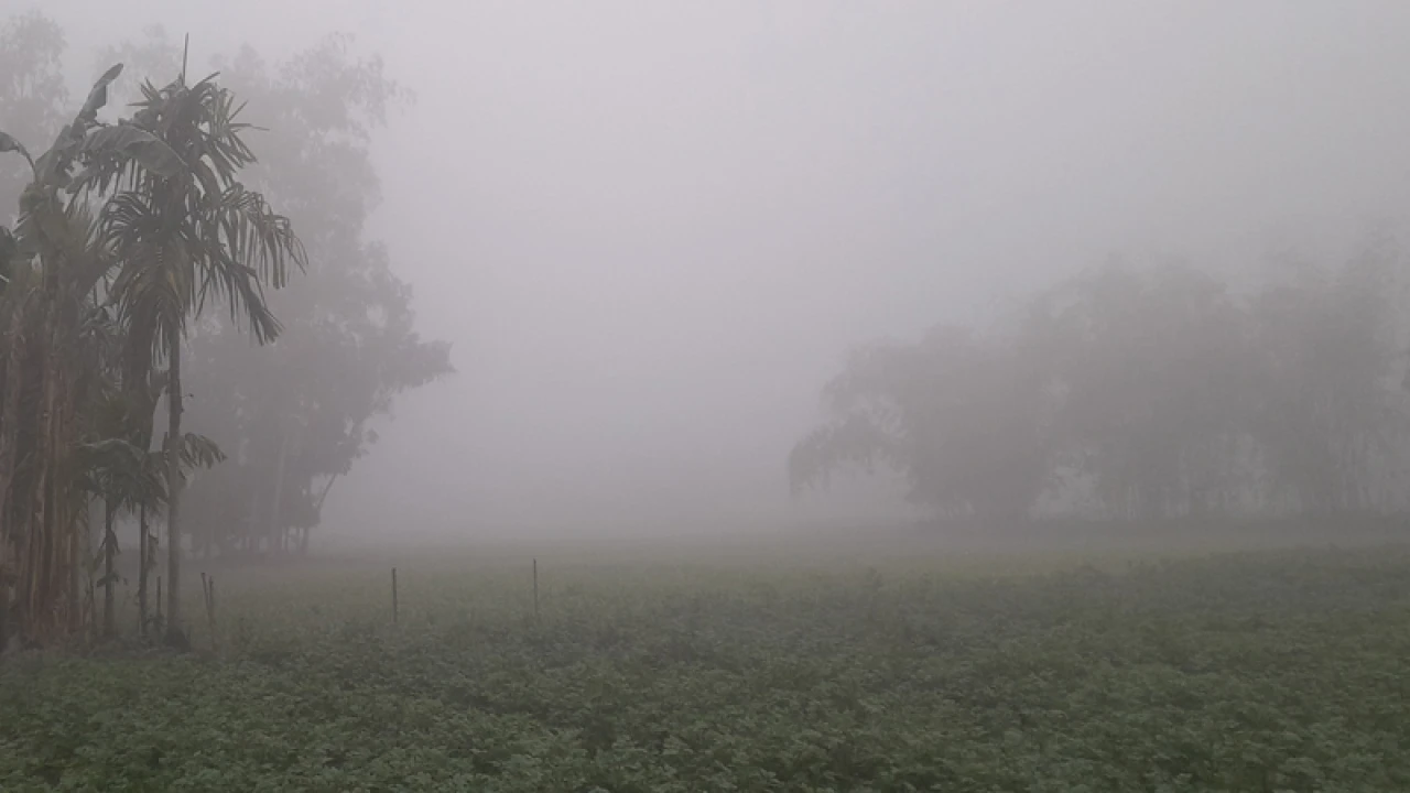 পঞ্চগড়ে তাপমাত্রা বাড়লেও কমেনি শীতের প্রকোপ