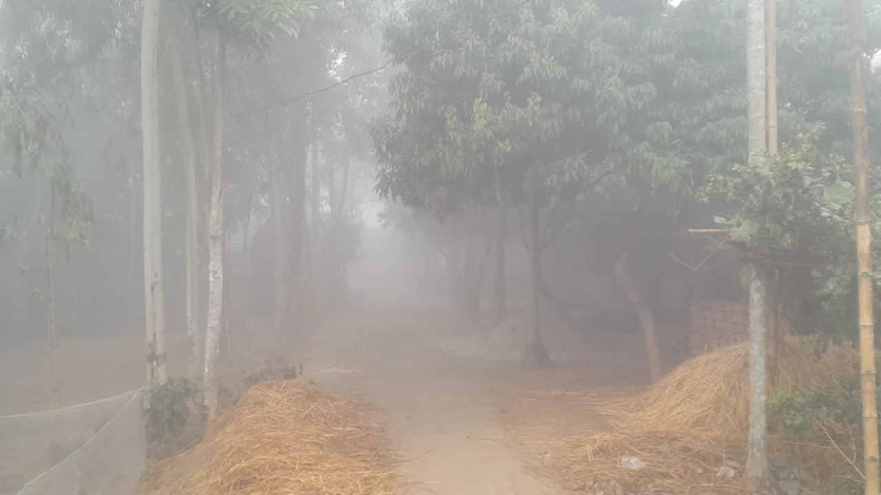 পঞ্চগড়ে শৈত্যপ্রবাহে জনজীবন কাবু