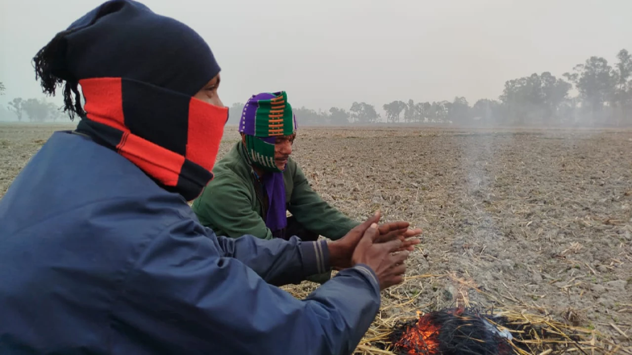 লালমনিরহাটে সর্বনিম্ন তাপমাত্রা ১১ ডিগ্রির ঘরে