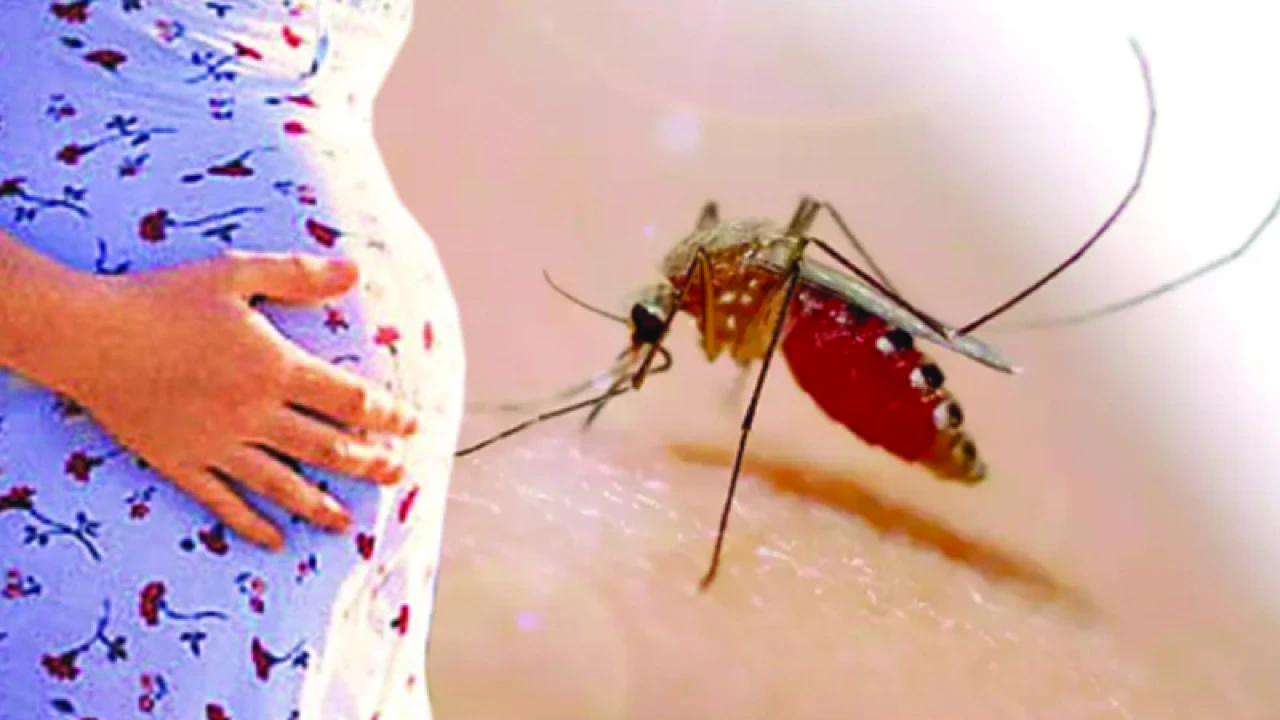 ডেঙ্গুজ্বরে গর্ভাবস্থায় মা ও শিশুর জটিলতা 