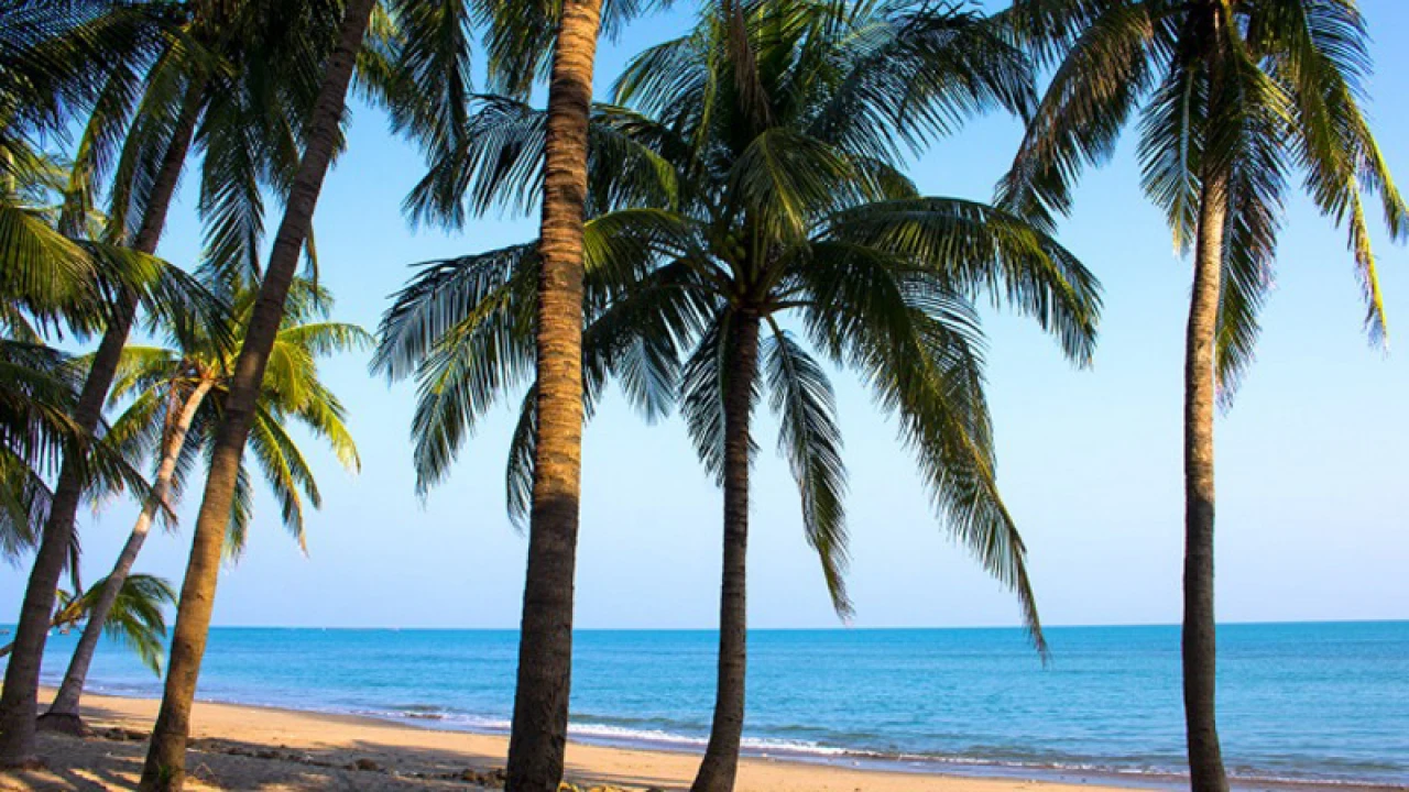 আজ থেকে সেন্টমার্টিনে পর্যটক প্রবেশ বন্ধ