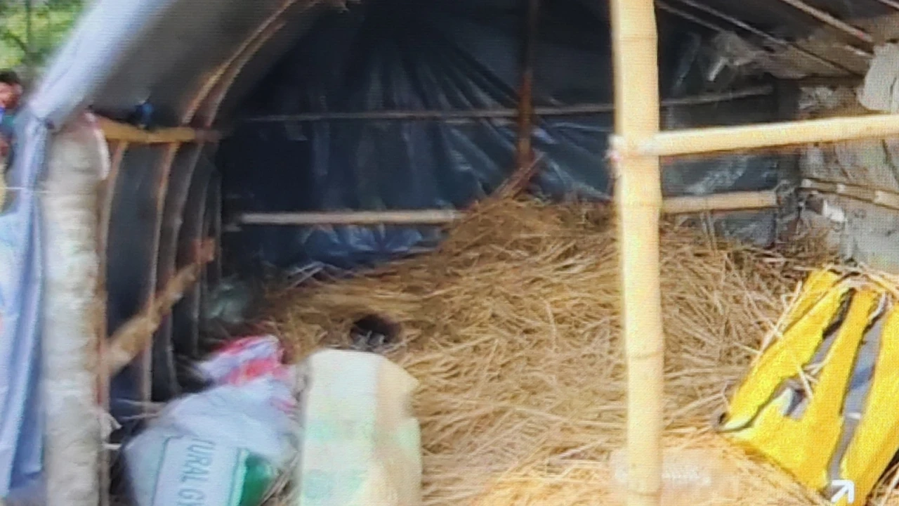 নিখোঁজের এক দিন পর মিলল অটোরিকশাচালকের মরদেহ 