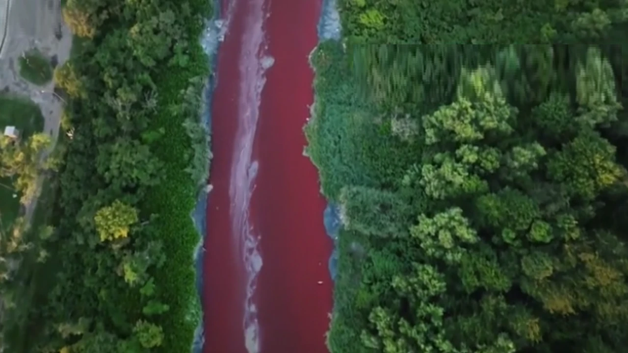 হঠাৎ করে লাল হয়ে গেল আর্জেন্টিনার খালের পানি