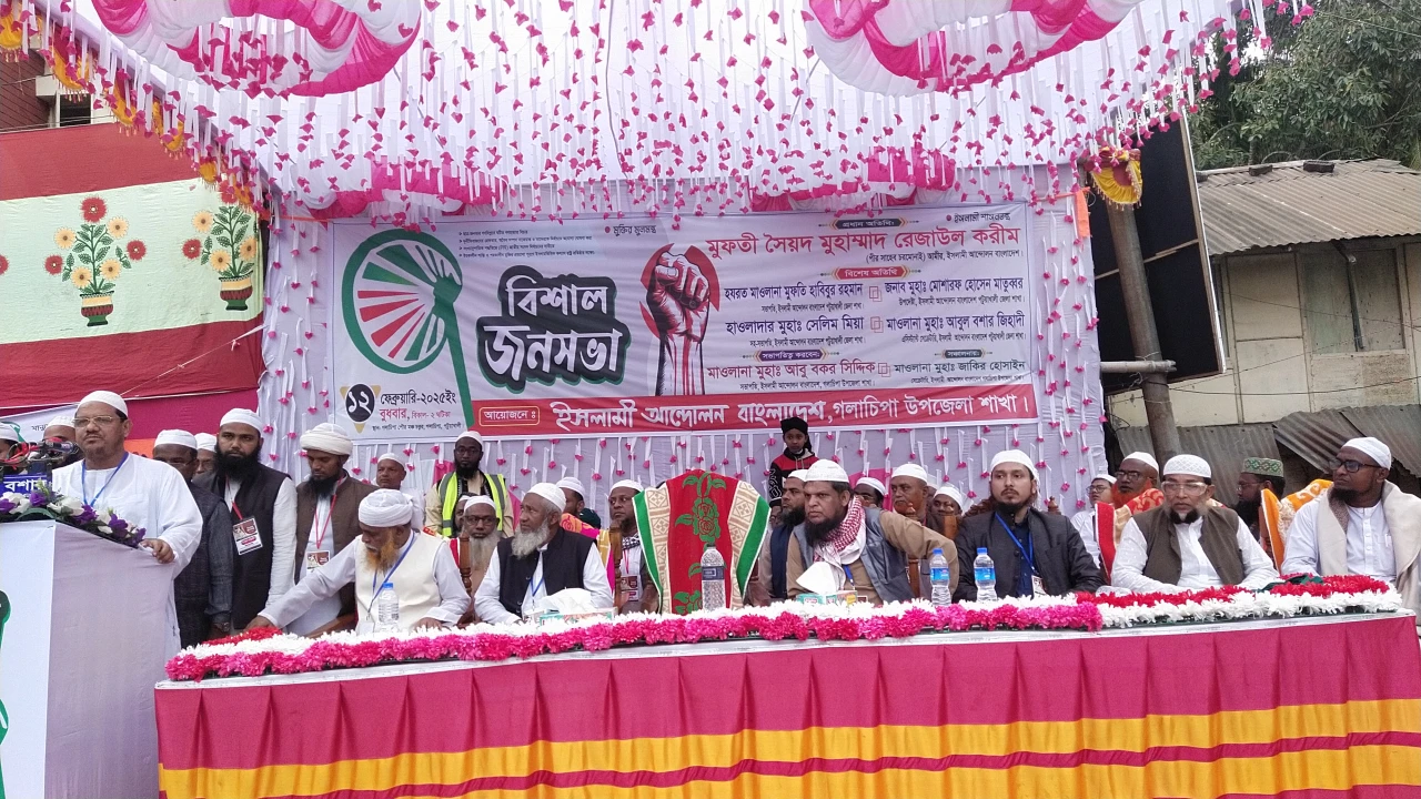 দুর্বল হাতে দেশ চালানো সম্ভব নয়: চরমোনাই পীর