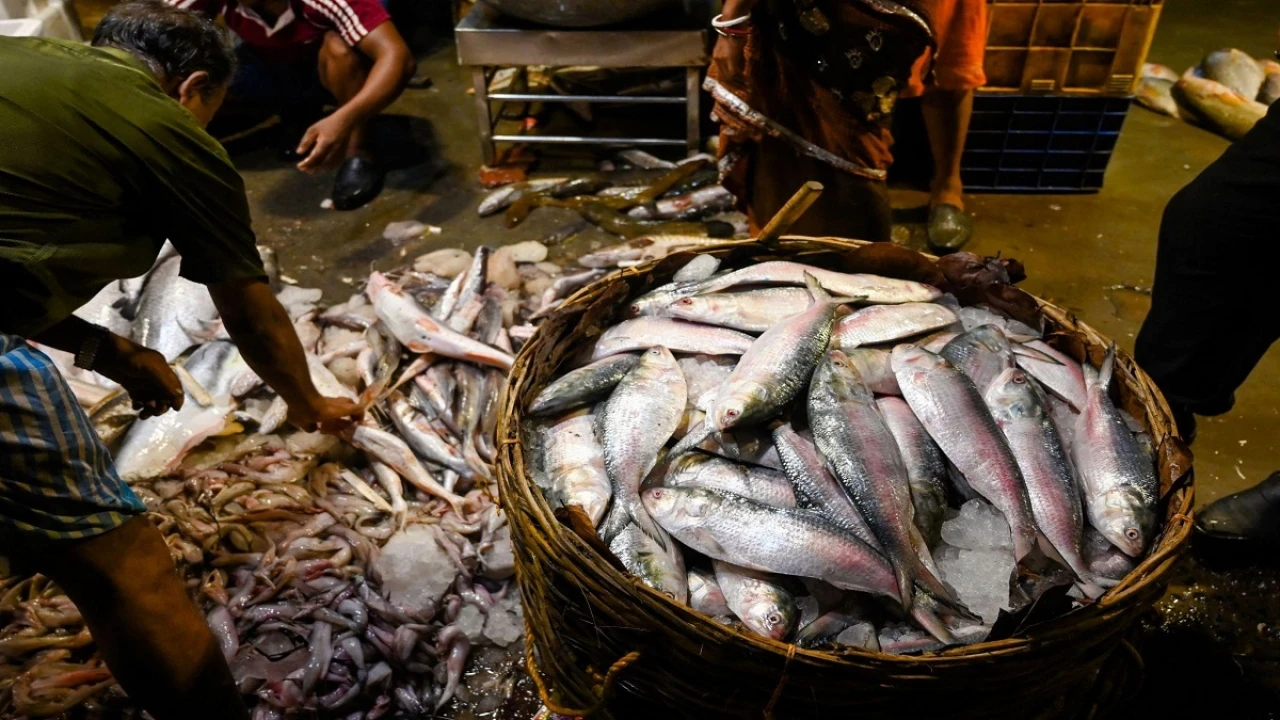 ৫৮ দিন বন্ধ থাকবে ইলিশ ধরা