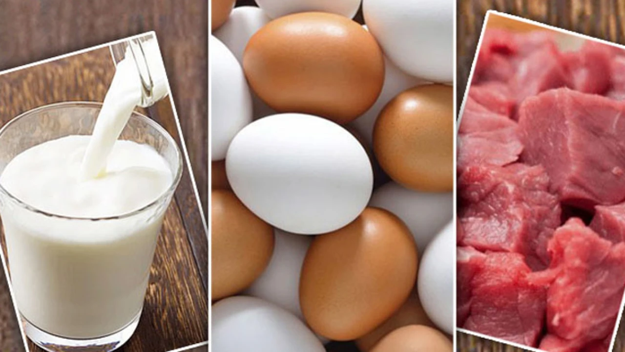 রমজানে রাজধানীর যে ২৫ স্থানে কম দামে মিলবে মাংস-ডিম-দুধ