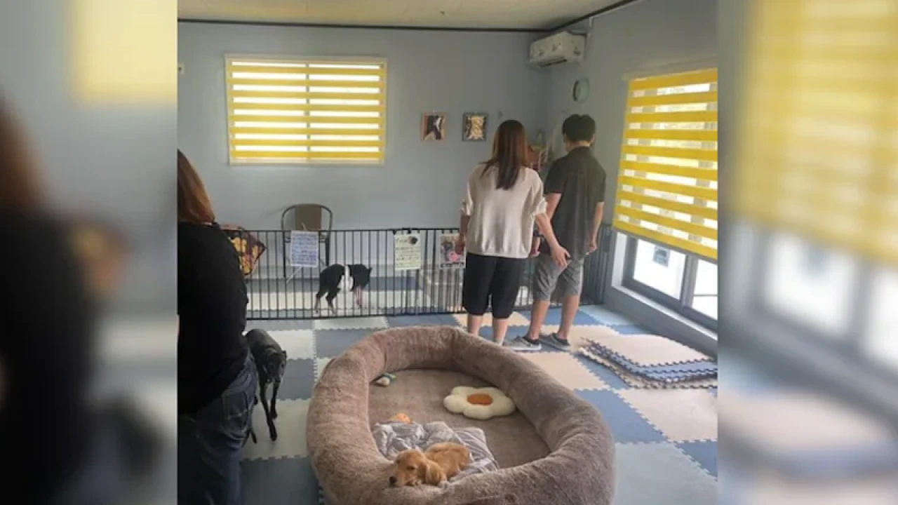 চিড়িয়াখানায় নারী ছাড়া পুরুষ প্রবেশ নিষেধ