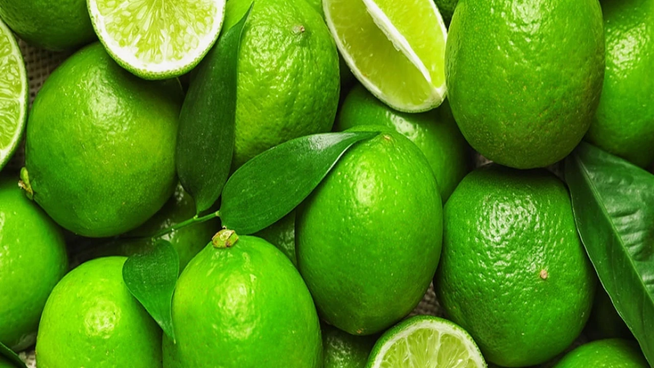 রোজা শুরুর আগেই লেবুর দামে আগুন