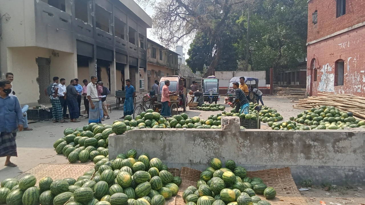 রাজবাড়ীর আ.লীগ কার্যালয়ে তরমুজের হাট!