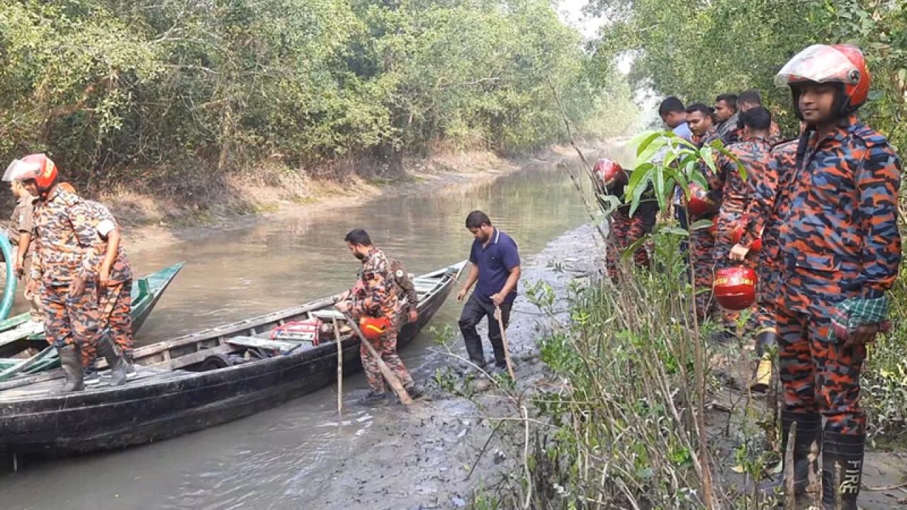 সুন্দরবনের আগুন সম্পূর্ণ নিয়ন্ত্রণে, চলছে সর্বশেষ তল্লাশি