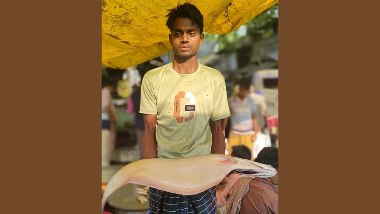 পদ্মায় জেলের জালে ধরা পড়ল বিশাল চিতল!