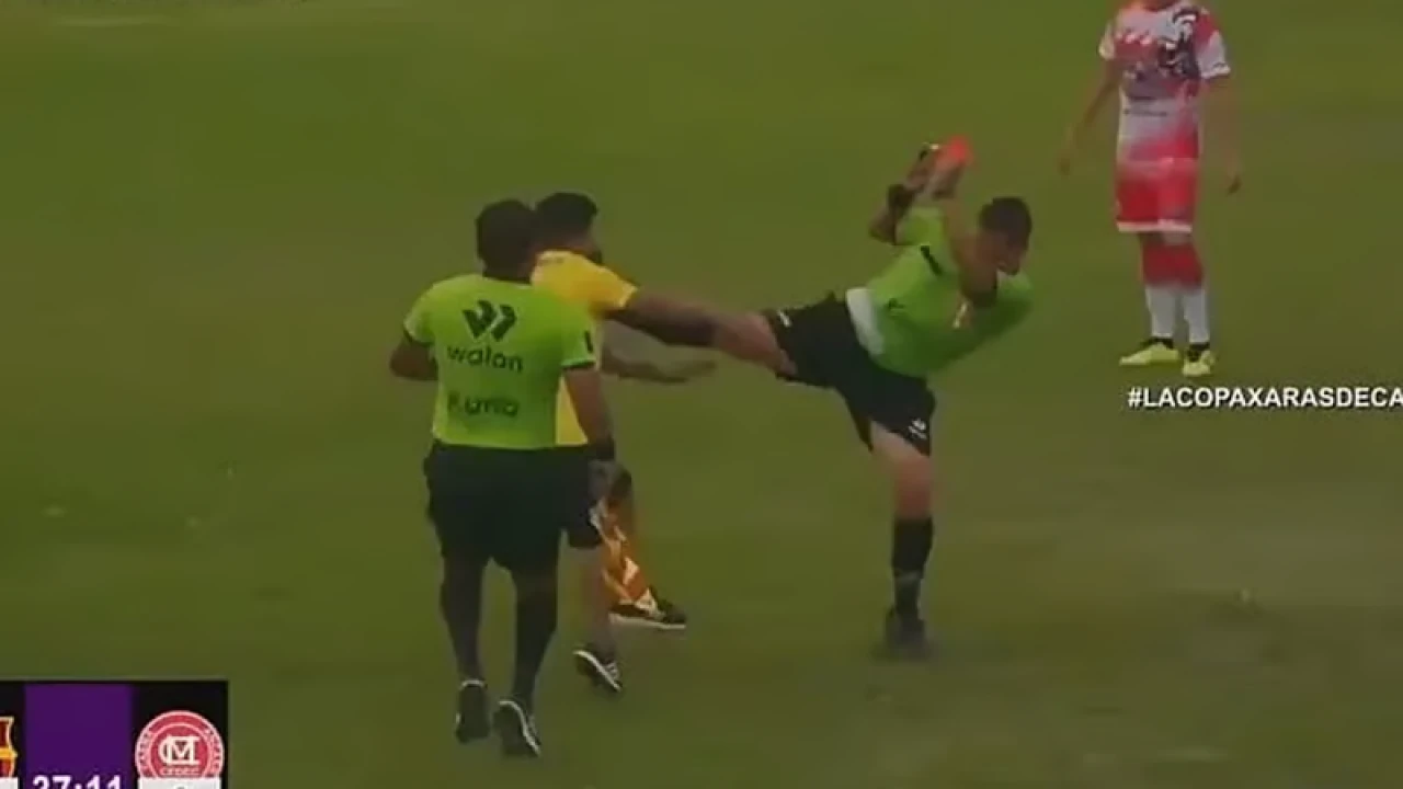 রেফারিকে মারতে গিয়ে উল্টো লাথি খেলেন কোচ