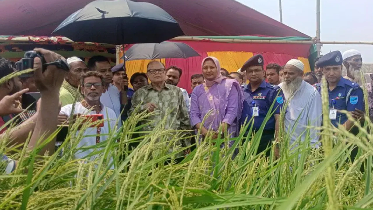 সরকারের কাছে যথেষ্ট খাদ্যশস্য মজুদ রয়েছে: আলী ইমাম মজুমদার 