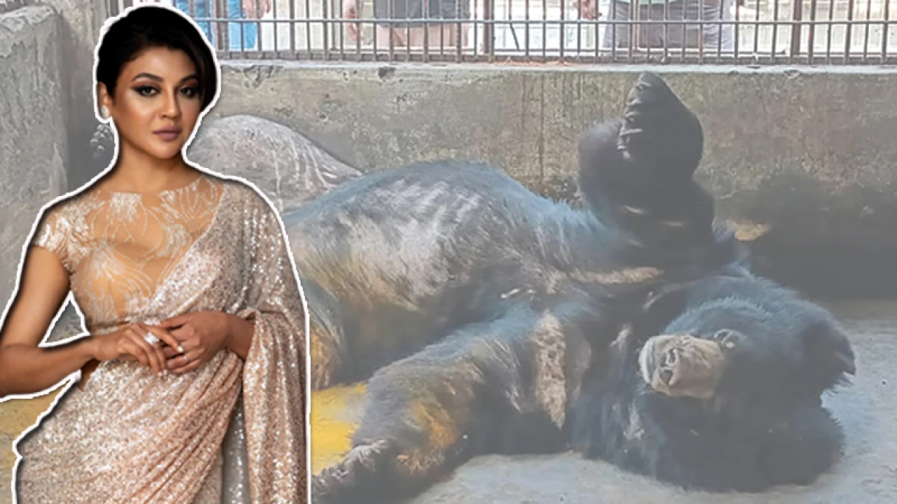 বন্ধ হোক সমস্ত চিড়িয়াখানা: জয়া আহসান