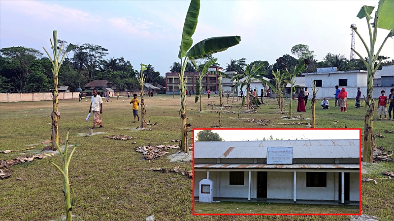 বিদ্যালয়ের মাঠ দখল করে কলা গাছ রোপণ, থানায় অভিযোগ
