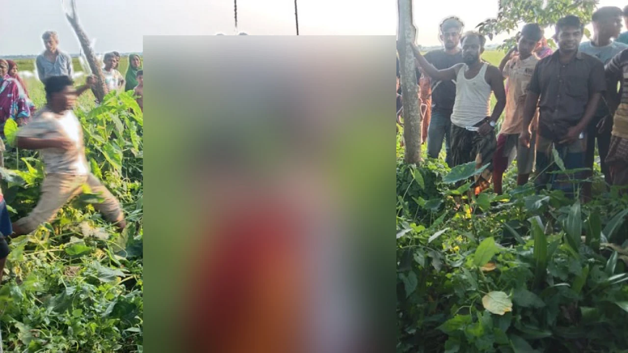 গাছের ডালে ঝুলছিল নবদম্পতির মরদেহ