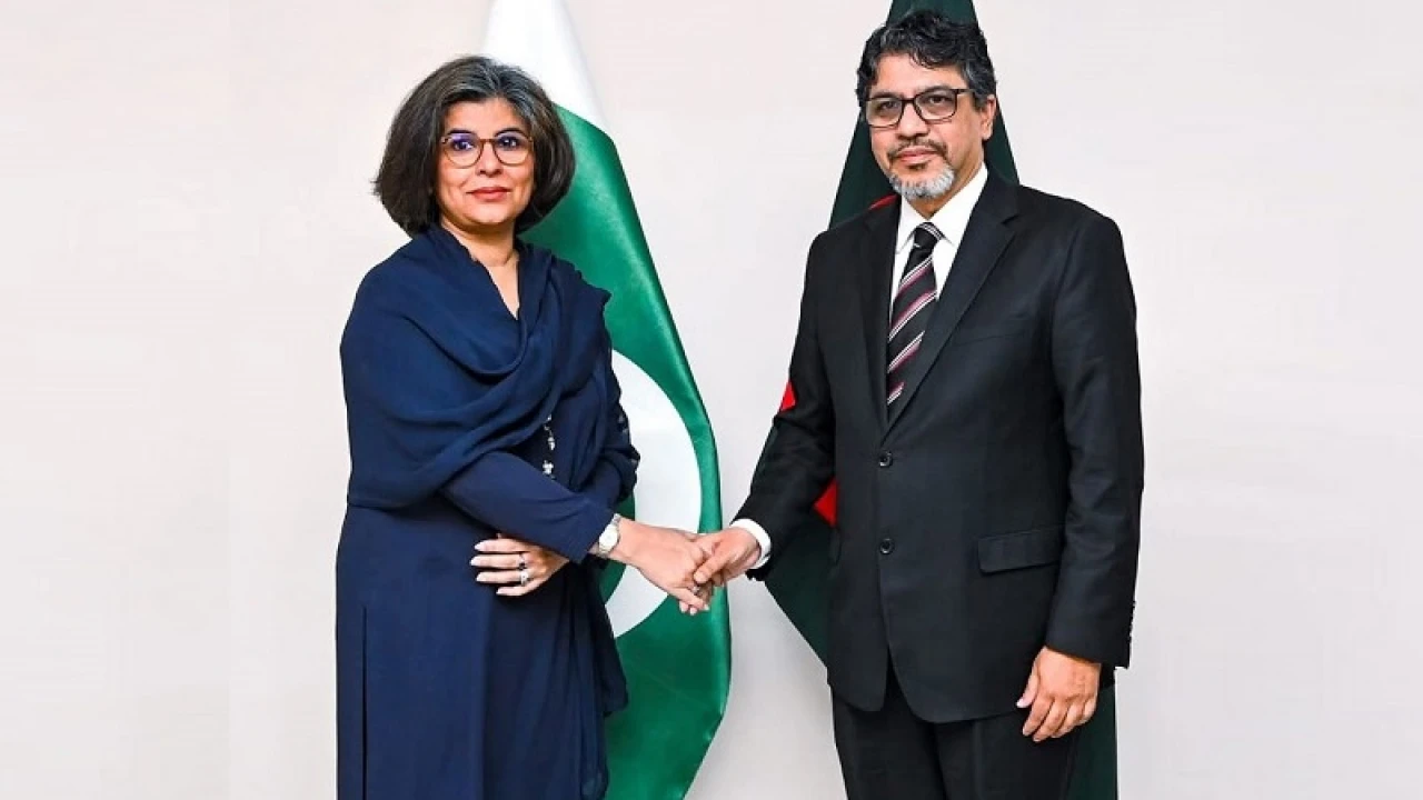 বাংলাদেশ-পাকিস্তান পররাষ্ট্রসচিব পর্যায়ের বৈঠক চলছে