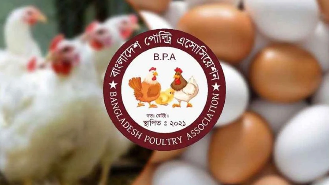 সারাদেশে ডিম-মুরগির খামার বন্ধের হুঁশিয়ারি