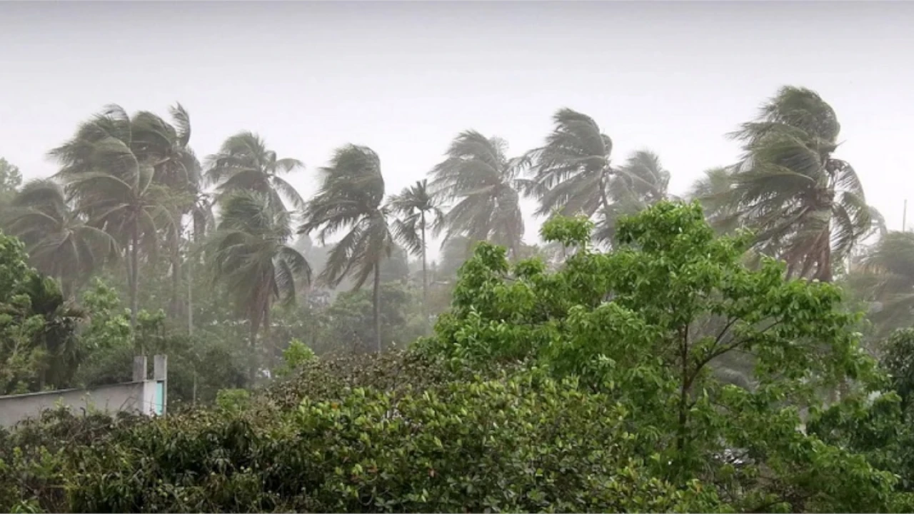দুপুরের মধ্যে দুই বিভাগে বজ্রবৃষ্টির আভাস