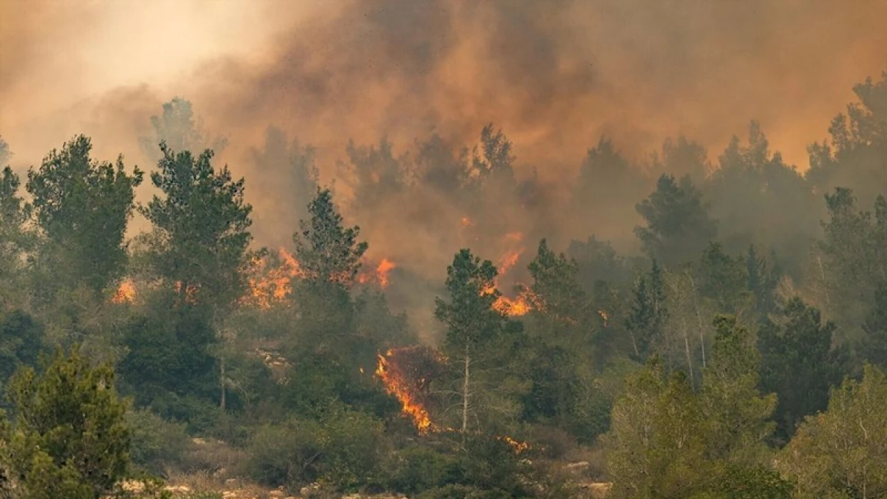 দাবানলে পুড়ছে ইসরায়েল