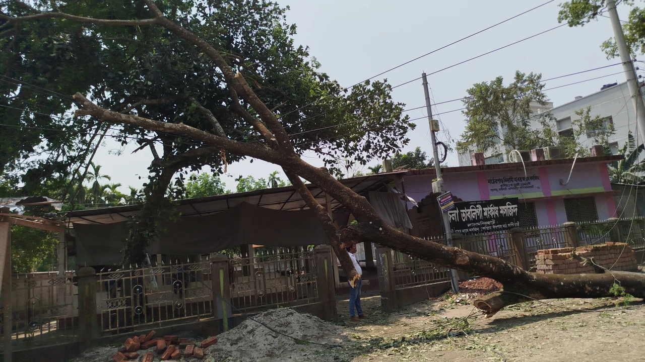 লালমমিরহাটে কালবৈশাখীর তাণ্ডবে লন্ডভন্ড ঘরবাড়ি