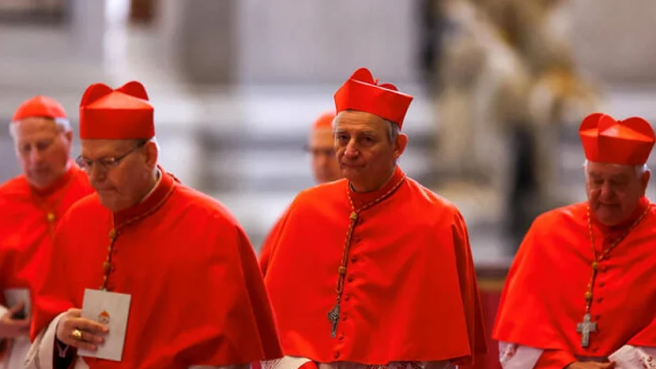 কারা করবেন পোপ নির্বাচন