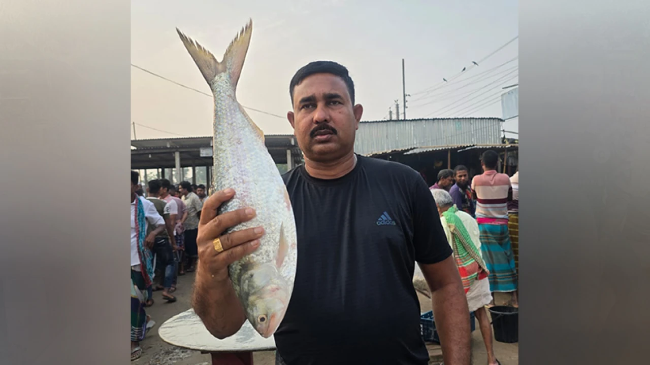 এক ইলিশের দাম সাড়ে ৭ হাজার টাকা