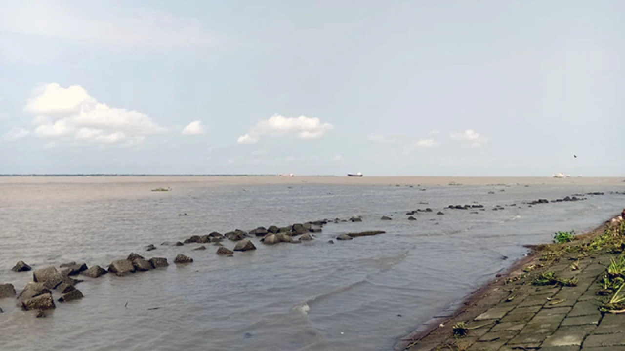 গোসল করতে গিয়ে মেঘনা নদীতে ডুবে যুবকের মৃত্যু